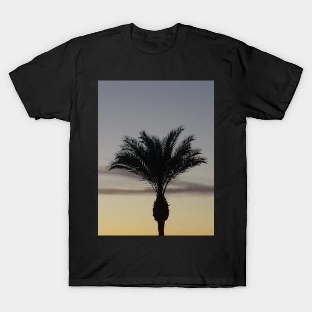 Single Palm Tree Silhouette at Sunset T-Shirt by Sandraartist